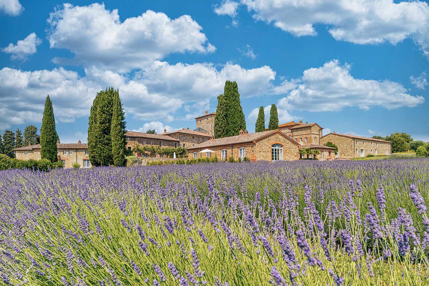 Borgo Scopeto Wine & Country Relais