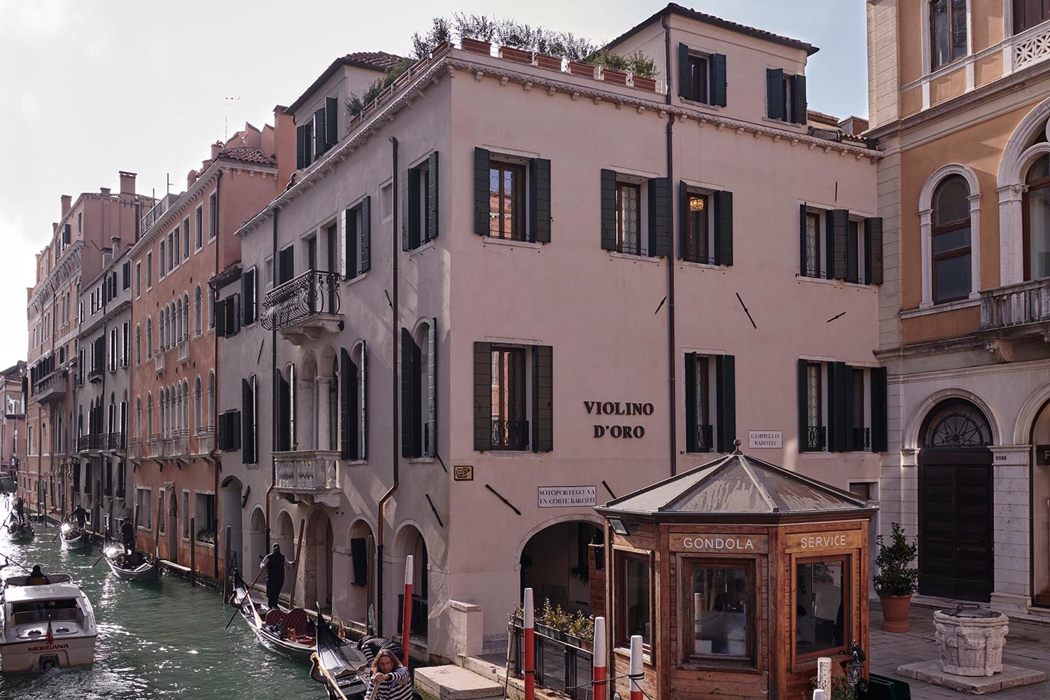 Violino d'Oro
