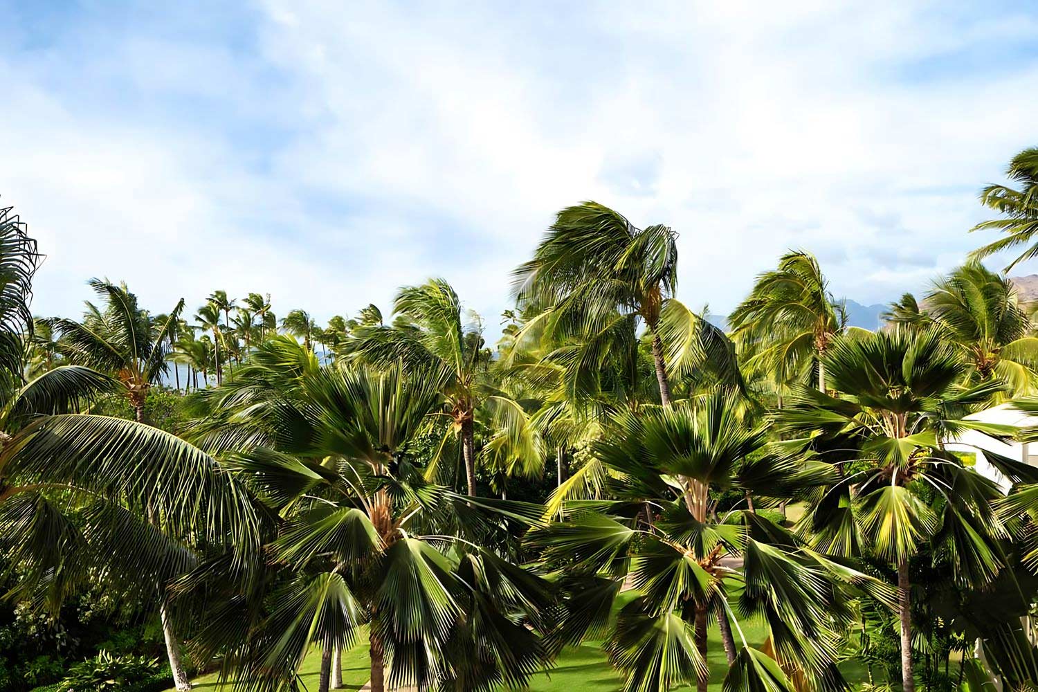 Deluxe Garden View LuxuriaVacations