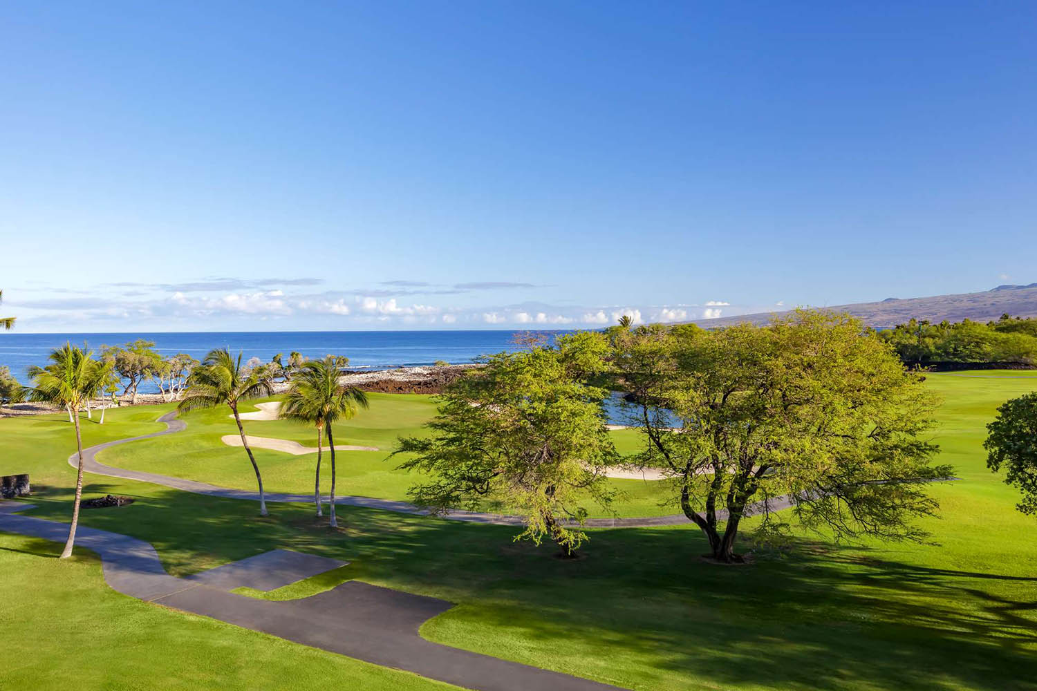 deluxe ocean view queen/queen LuxuriaVacations