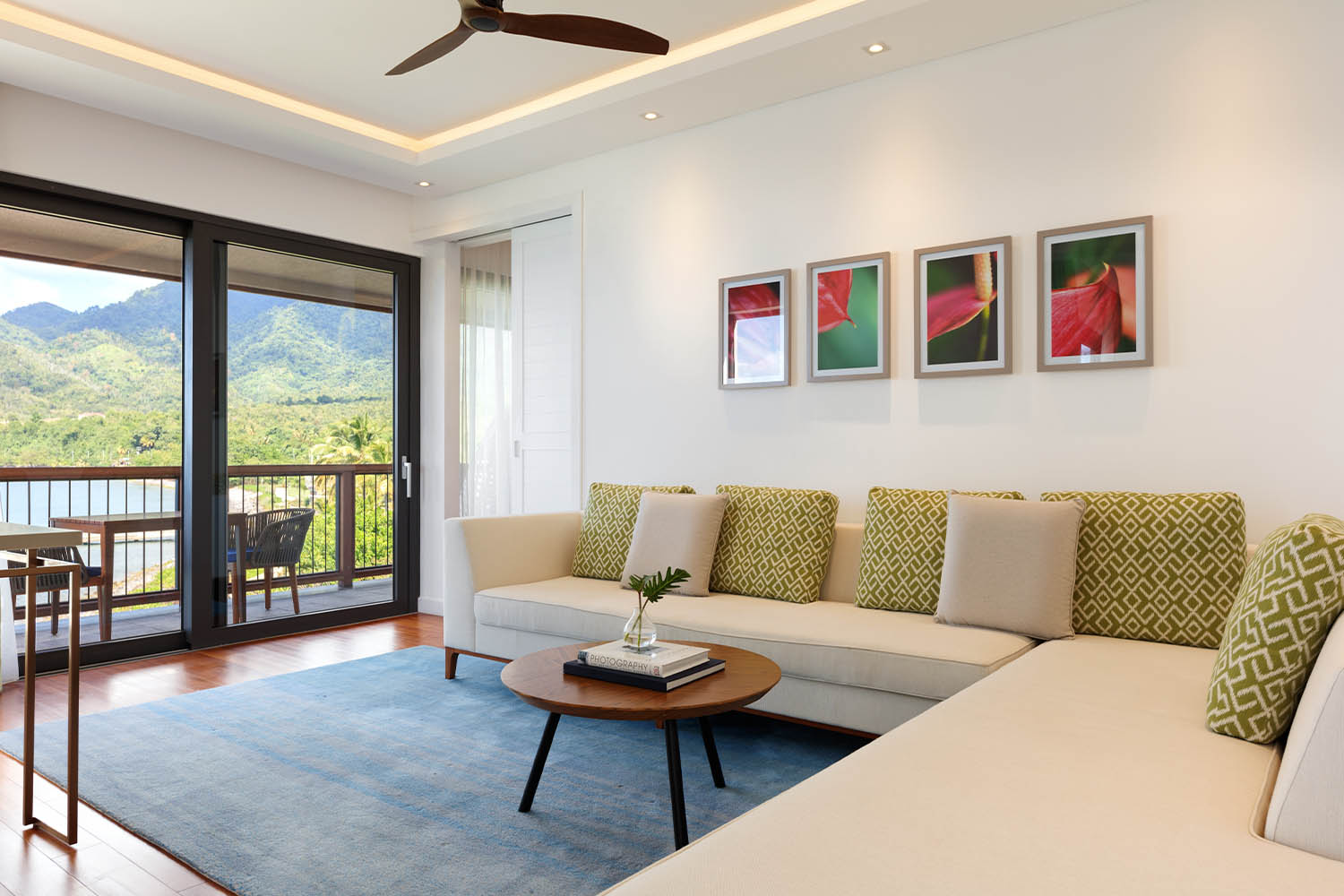 Duplex Ocean View Cabrits Penthouse 2 Beds LuxuriaVacations