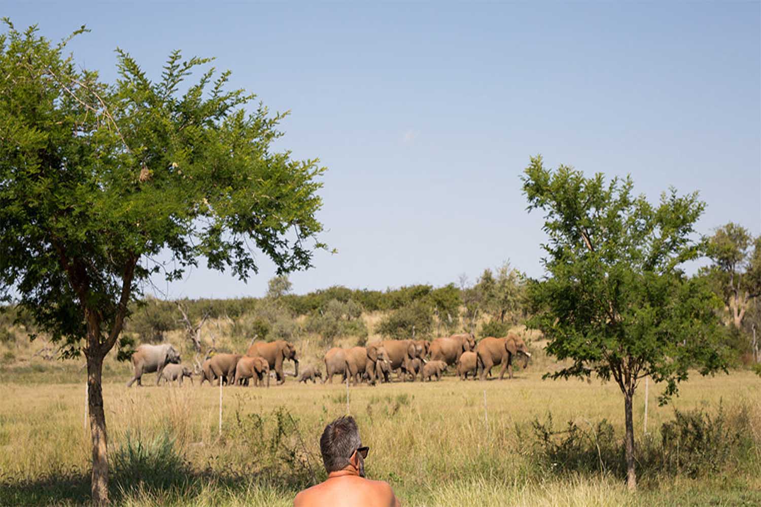 Jamala Madikwe Villa's LuxuriaVacations
