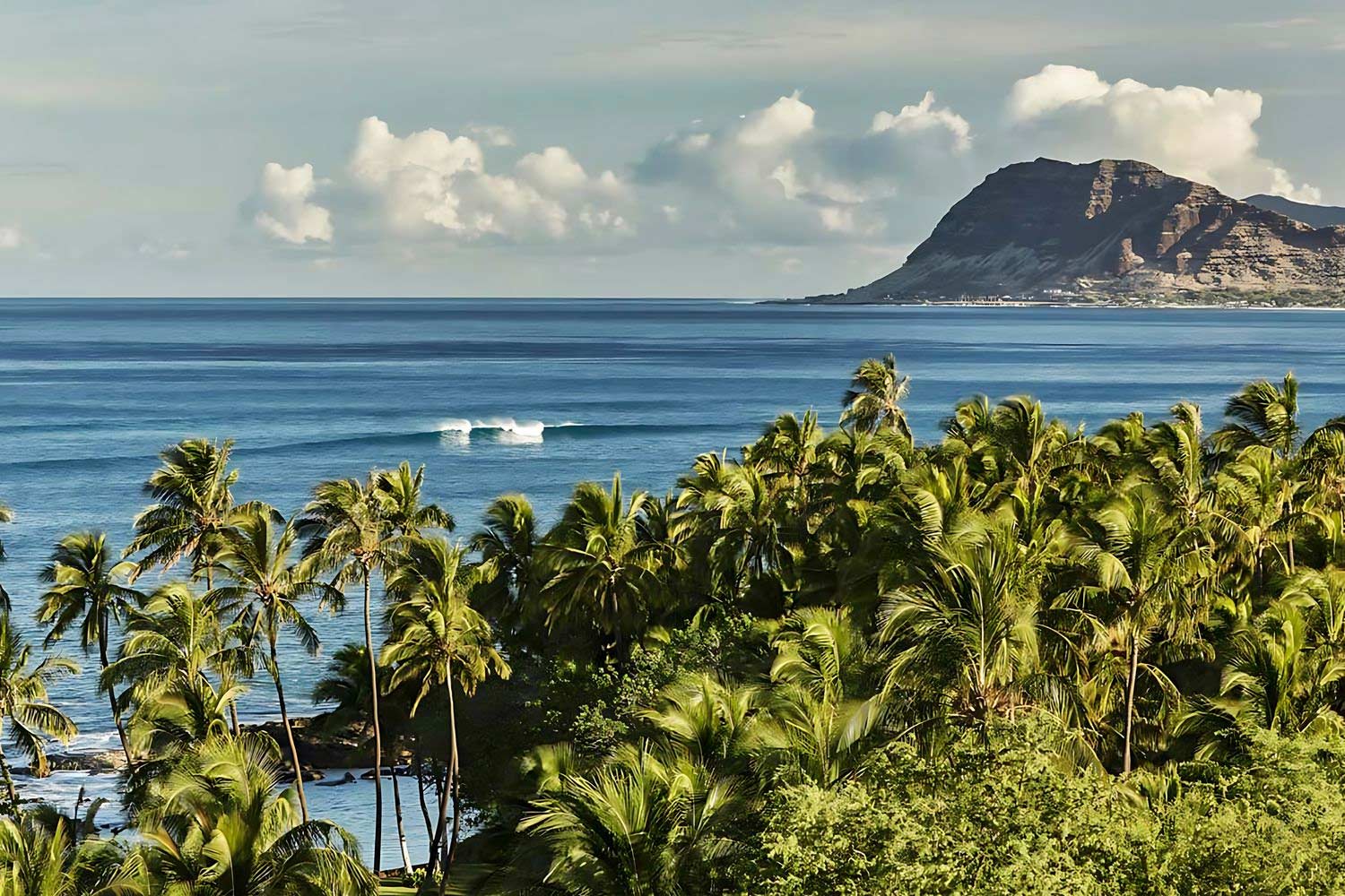 Prime Corner Oceanfront LuxuriaVacations