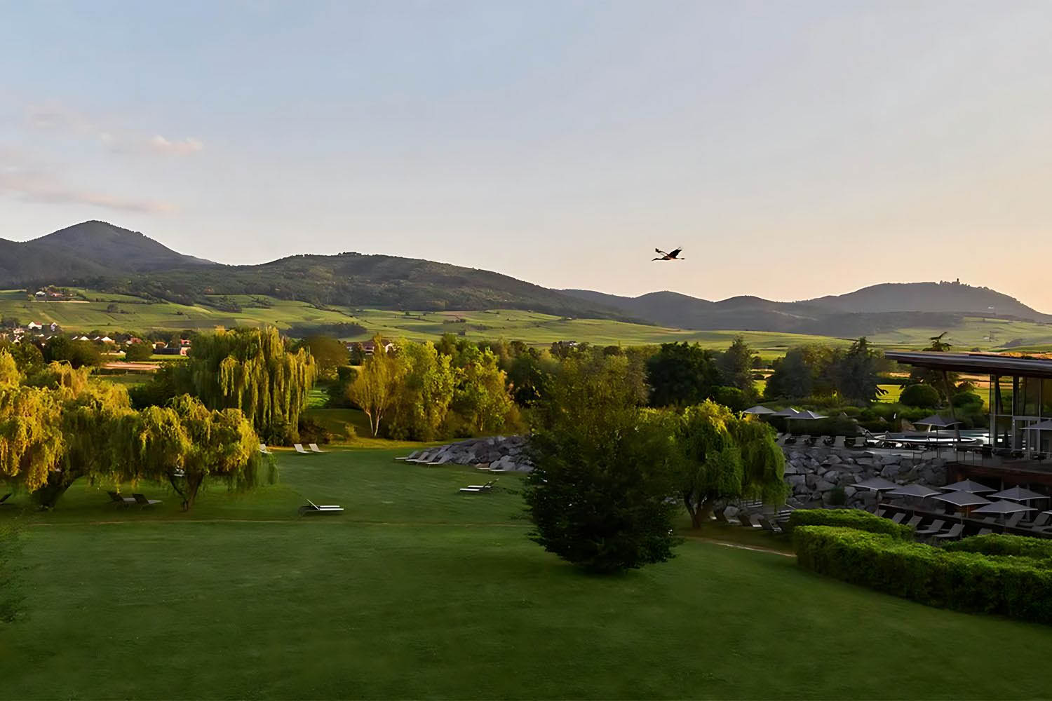 Superior vineyard view room LuxuriaVacations