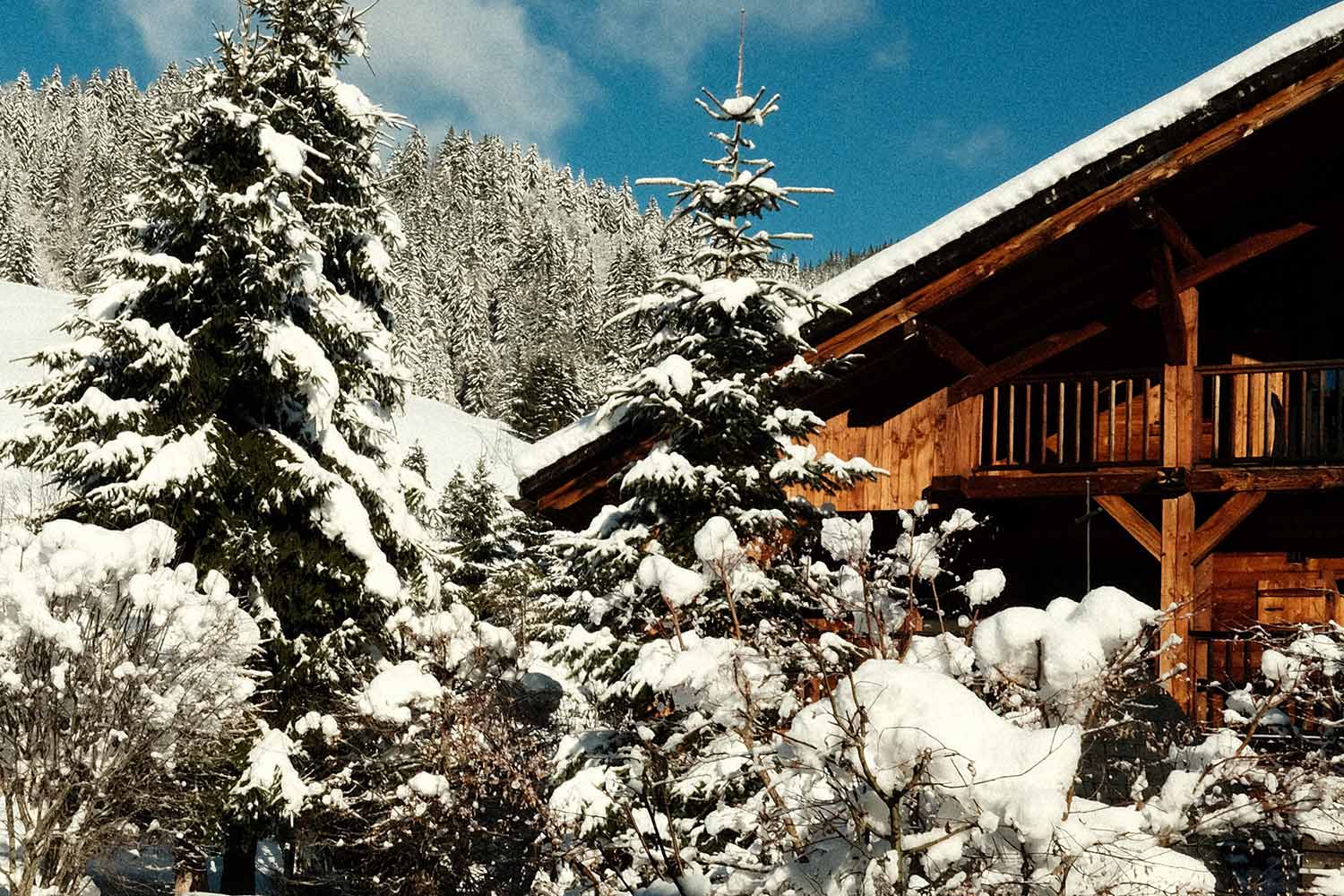 THREE-BEDROOM SUITE LuxuriaVacations